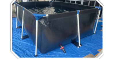 ー【おきがるPOND】 鯉も、人も、もっと気軽に。ー ー【おきがるPOND】 鯉も、人も、もっと気軽に。ー